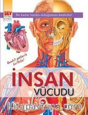 İnsan Vücudu (Dev Poster Ekli)