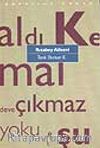 Rızabey Aileevi