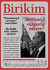 Birikim / Sayı: 223 Yıl: 2007 / Aylık Sosyalist Kültür Dergisi