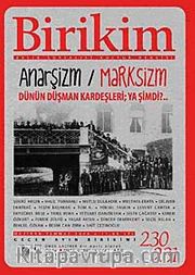 Birikim / Sayı:230-231 Yıl: 2008 / Aylık Sosyalist Kültür Dergisi