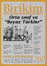 Birikim / Sayı:260  Yıl: 2010 / Aylık Sosyalist Kültür Dergisi