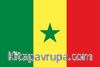 Senegal Bayrağı (70x105)