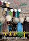 333296