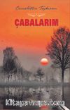 Çabalarım