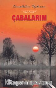 Çabalarım