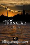 Turnalar