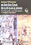Birikim Bunalımı