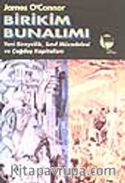 Birikim Bunalımı