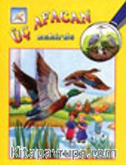 Üç Afacan Nehirde