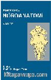 Fonksiyonel Nöroanatomi