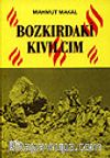 Bozkırdaki Kıvılcım