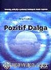Pozitif Dalga&Yaratıcılığı, Yenilikçiliği ve Yenilenmeyi Desteleyecek Ortamlar Oluşturmak