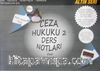 Ceza Hukuku 2 & Ders Notları - Özel Hükümler