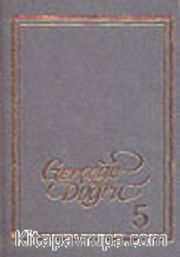 Gerçeğe Doğru 5