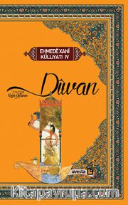 Diwan (Özel Baskı Ciltli)