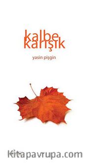 Kalbe Karışık