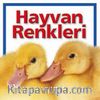 Hayvan Renkleri