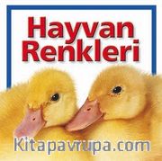 Hayvan Renkleri