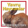 Yavru Hayvanlar