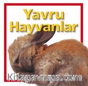 Yavru Hayvanlar