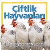 Çiftlik Hayvanları