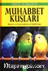 Muhabbet Kuşları