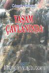 Yaşam Çavlanında