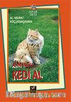Baba Bana Kedi Al
