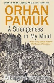 A Strangeness In My Mind