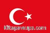 Türkiye Bayrağı (50x75)