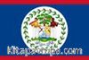 Belize Bayrağı (20x30)