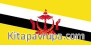 Brunei Bayrağı (70x105)