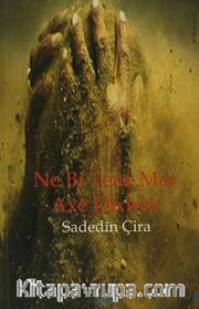 Ne Bi Tene Mar Axe Dixwin