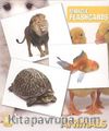Animals Miracle Flashcards (45 Cards)
