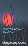 Küçük Bir Gökada