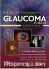 Shields Texbook of Glaucoma