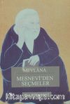 Mesnevi'den Seçmeler