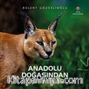 Anadolu Doğasından Yansımalar (Ciltli)