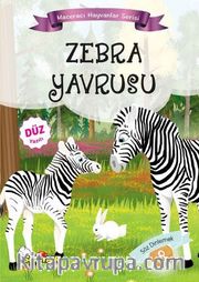 Zebra Yavrusu / Maceracı Hayvanlar Serisi 8