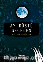 Ay Düştü Geceden