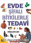 Evde Şifalı Bitkilerle Tedavi