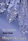 Buz Yanıkları