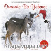 Ormanda Bir Yabancı