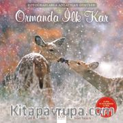 Ormanda İlk Kar