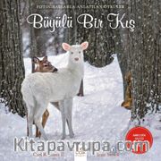 Büyülü Bir Kış