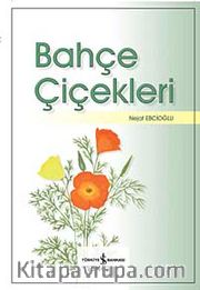 Bahçe Çiçekleri