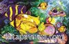 Denizde Akvaryum 1000 Parça Puzzle (Kod:40904)