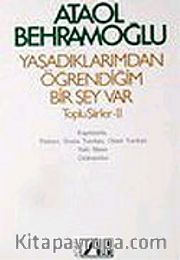 Yaşadıklarımdan Öğrendiğim Birşey Vay/Toplu Şiirler II