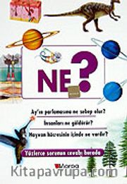 Ne?