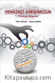 Yenilikçi Girişimcilik (Türkiye Boyutu)